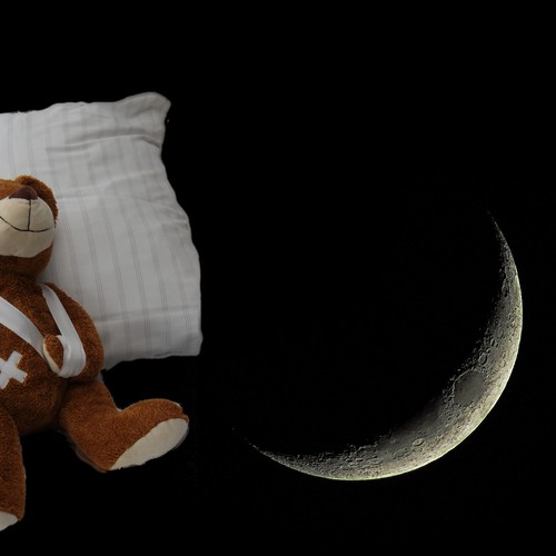 Ein schlafender Bär vom Mond beschienen.