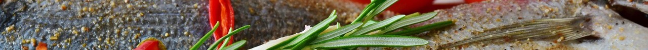 Tomaten auf einem Fiscgfilet angerichtet