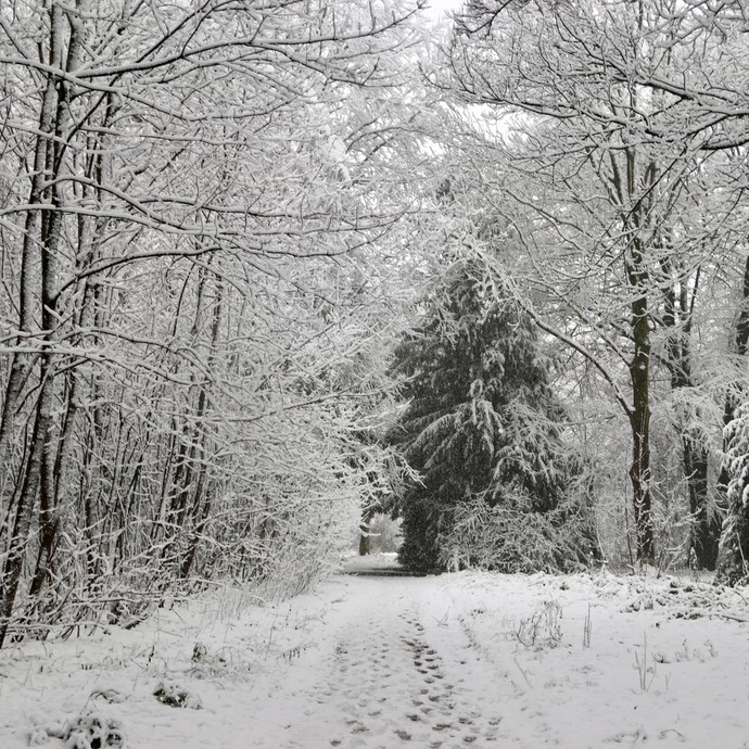 Spazierweg im Schnee (vergrößerte Bildansicht wird geöffnet)