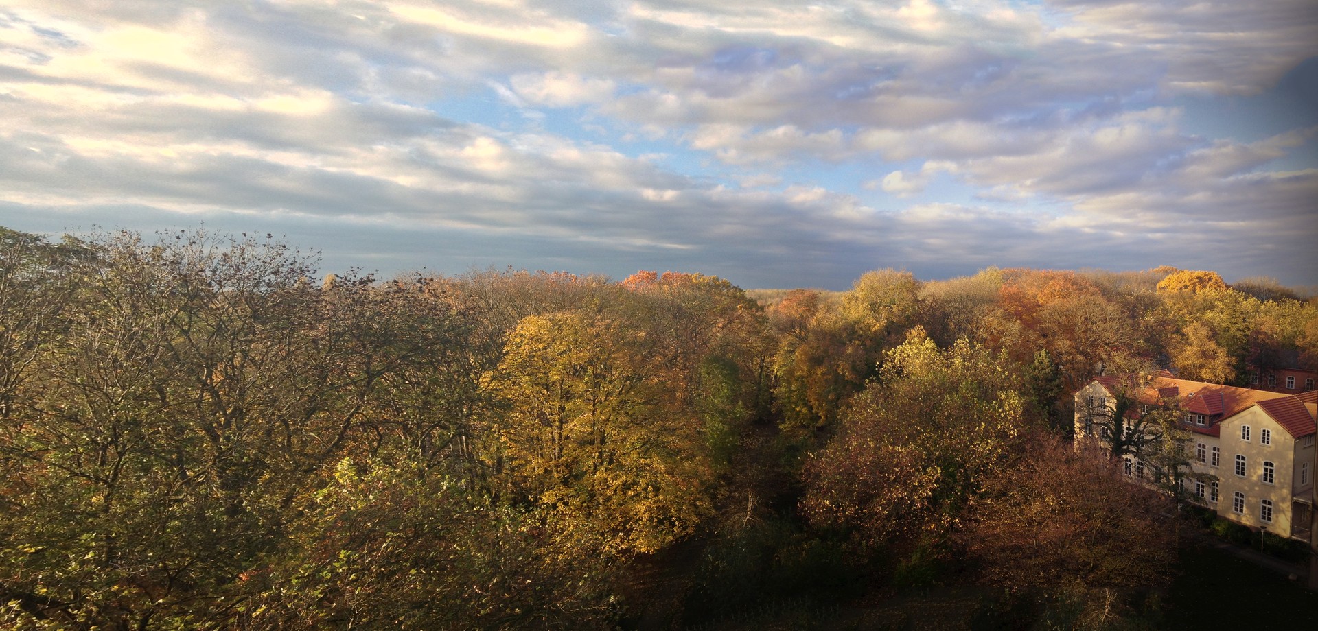 Blick von oben auf herbstlich belaubte Bäume. Am rechten Bildrand ein Gebäude mit roten Dachziegeln