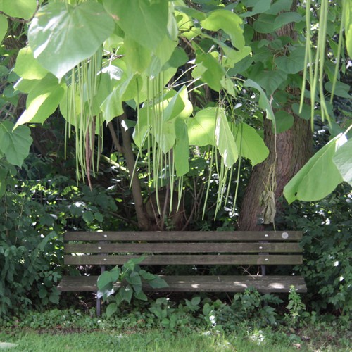 Gartenbank im Garten der Tagesklinik Lünen.