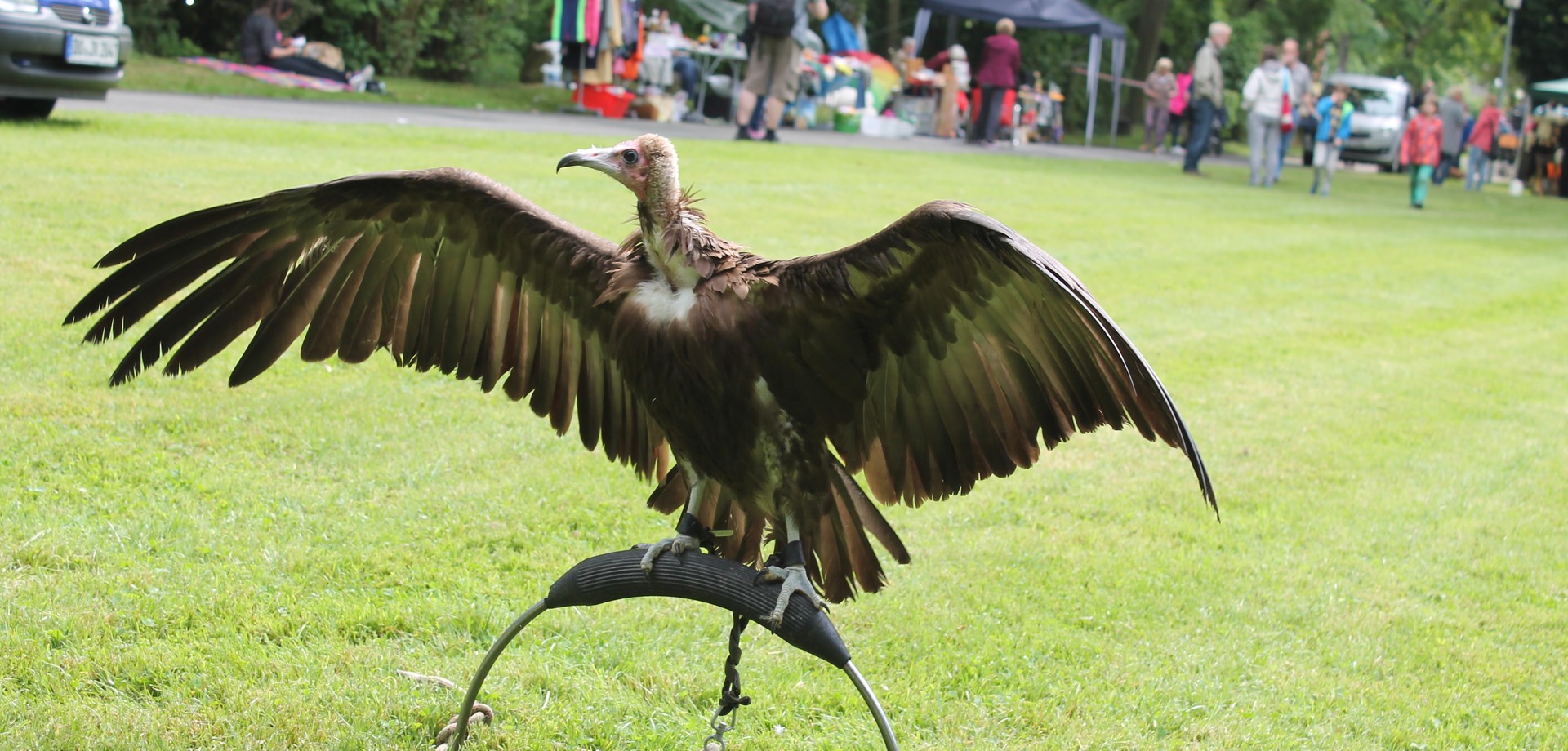 Greivogelschau beim letzten Simmerfest