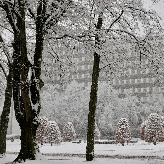 Hochhaus (vergrößerte Bildansicht wird geöffnet)