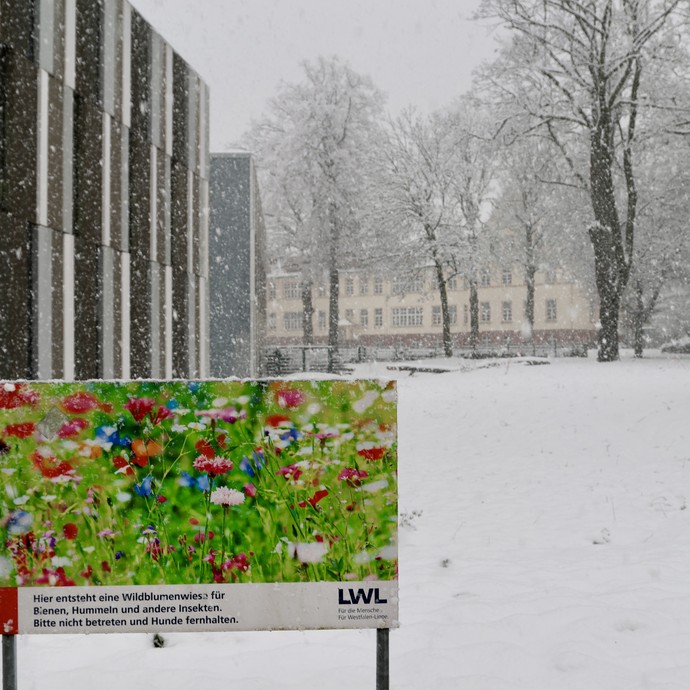 Ein Schild auf einer verschneiten Wiese mit einem Gebäude im Hintergrund verweist auf eine Blumenwiese (vergrößerte Bildansicht wird geöffnet)