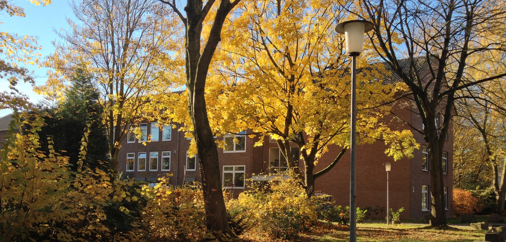 Èin langerzogenes Gebäude mutrotem Klinker hinter herbstlichen Bäumen