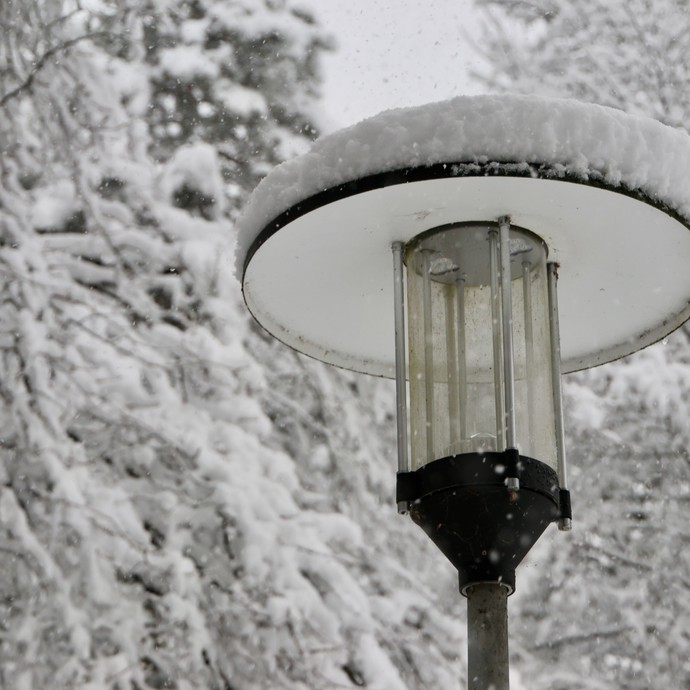 Eine Laterne vor schneebedeckten Bäumen (vergrößerte Bildansicht wird geöffnet)