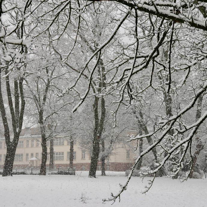 Rosneberg-Haus hinter schneebedeckten Zweigen (vergrößerte Bildansicht wird geöffnet)